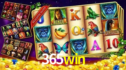 Segurança e performance na plataforma 365win
